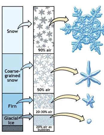 Schematic of glacial formation, snow types, and percentages Schematic of glacial formation, snow types, and percentages
