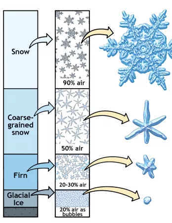 Schematic of glacial formation, snow types, and percentages