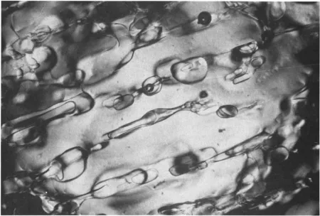 Photomicrograph of brine pockets in sea ice Photomicrograph of brine pockets in sea ice