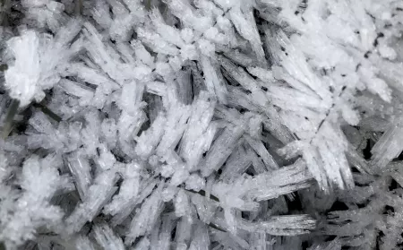 Rime frost forms on grass Rime frost forms on grass