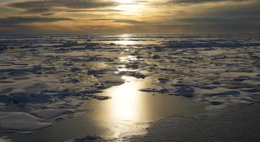 Sea ice in low-angled sunlight